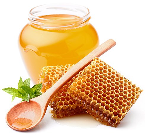 honey photo