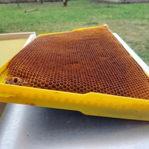 Zkroucený plastový rámek