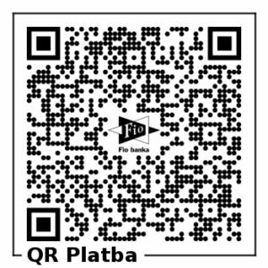 Příspěvek na provoz online kamery